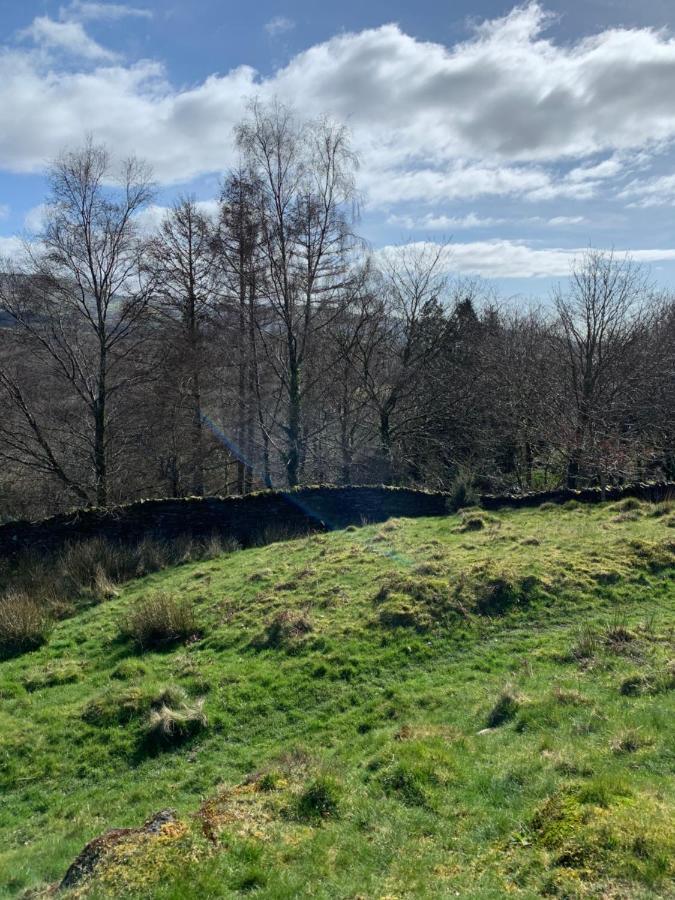 Snowdonia Rock Cottage - Cosy And Pet Friendly Penrhyndeudreath Exterior foto